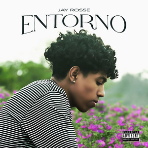 Entorno
