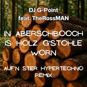 In Aberschboch is Holz g'stohle worn (Auf'n Ster Hypertechno Remix)