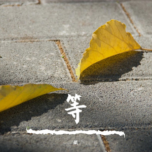 等 枫 甜