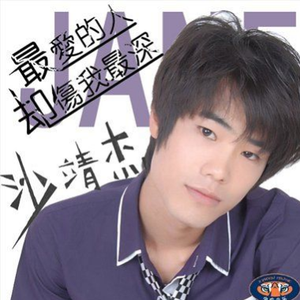 最爱的人却伤我最深