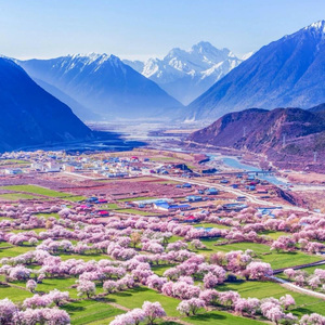 立春 Spring begins.(Intro)