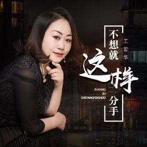 不想就这样分手（DJ月之歌版）