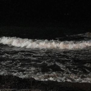 海边夜晚躲起来的椰子酒