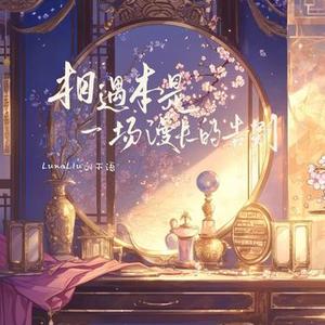 相遇本是一场漫长的告别 - Dj豪大大版0.8X