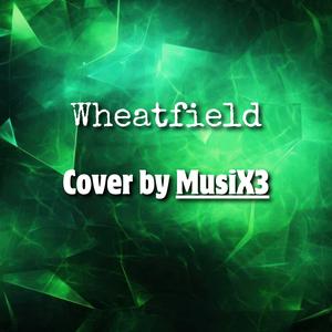Wheatfield