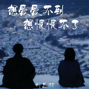 想爱爱不到想恨恨不了