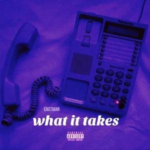 WHAT IT TAKES