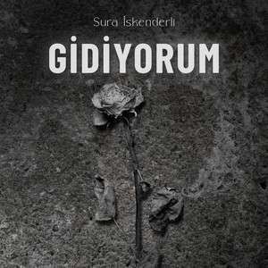 Gidiyorum
