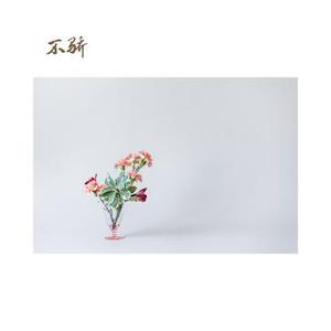 不骄 竖琴