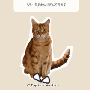 頑固如我 Stubborn Like Me by Capricorn Awakens