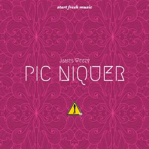 Pic niquer, pt. 1