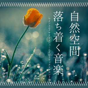 自然心の浄化気持ちいい音楽
