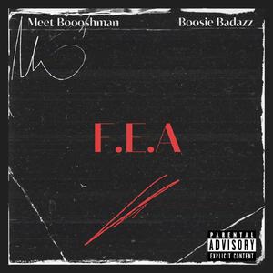 F.E.A (feat. Boosie Badazz)