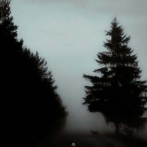 Синий туман