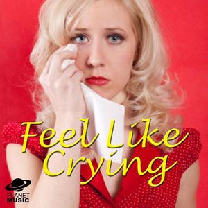 Teardrops On My Guitar