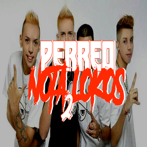 Perreo Notalokos 2