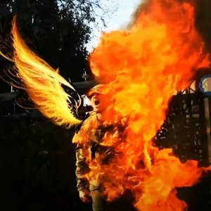 亚伦·布什内尔