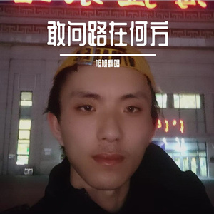 敢问路在何方