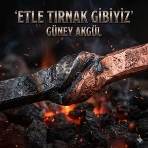 Etle Tırnak Gibiyiz