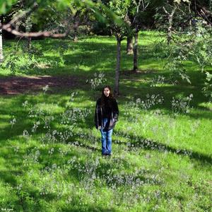 פרח בגינה לא נכונה