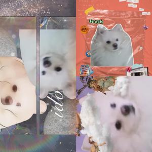 耍废！（Prod.By Onion）