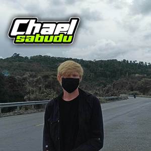 DJ SPAZZMATICA POLKA