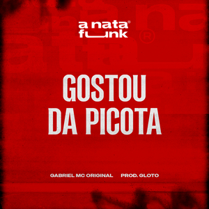 Gostou da Picota