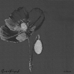 Elegia （feat.Moukaeri）