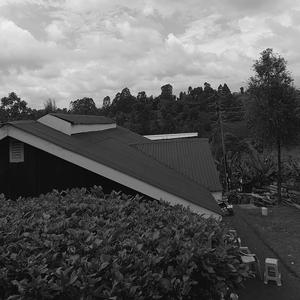 WHAT POETRY SOUNDS LIKE.