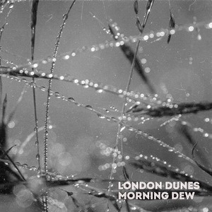 Morning Dew