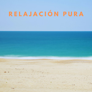 Relajantes Sonidos Costeros