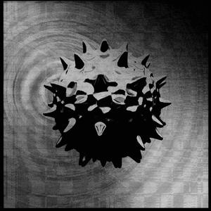 Disorientation