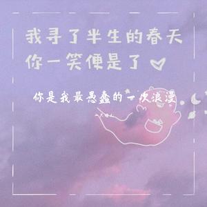 你是我最愚蠢的一次浪漫