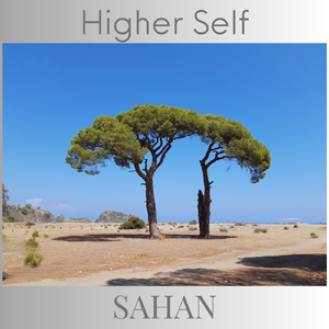 Higher Self (Radio Edit)