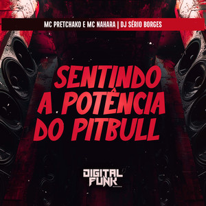 Sentindo a Potência do Pitbull