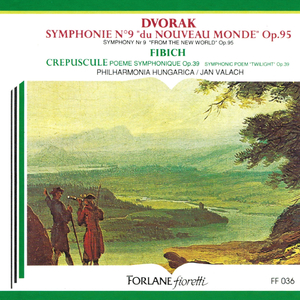 Symphonie No. 9 en mi mineur, Op.95:IV. Allegro con fuoco
