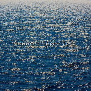 十四行（To Joe）