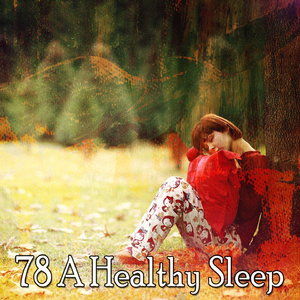 通過寧靜尋找睡眠