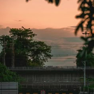 quxevo
