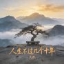 人生不过几个十年