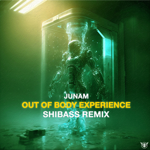 Out of Body Experience - Shibass Remix