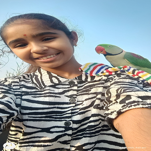 भाची माझं स्वप्न