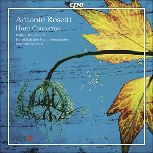Horn Concerto in E Major, C50/III:44:II. Romance: Adagio