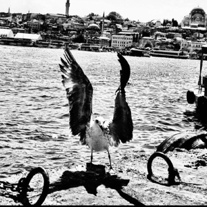 Gecenin Gerdanı (Demo1)