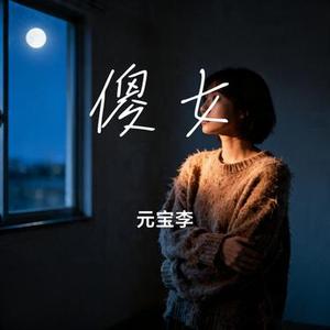 傻女 (元宝李 Remix)
