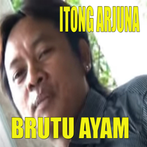 Brutu Ayam