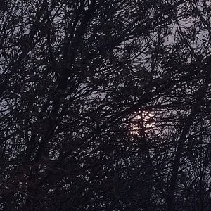 最好的明天（沾化一中）（翻自 楌崽）