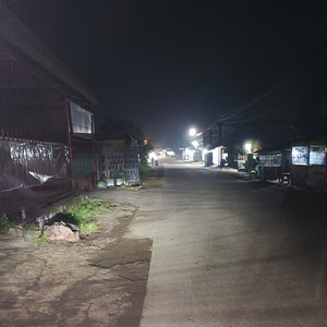 ลงไปในเล้าไก่