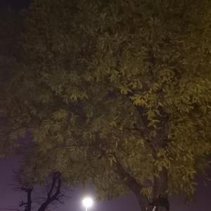 20211129_203827_211023_track0_211023