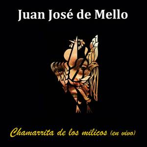 Chamarrita de los Milicos (En Vivo)